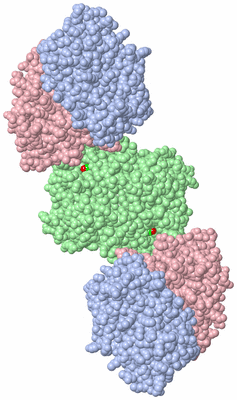 Image Biological Unit 4