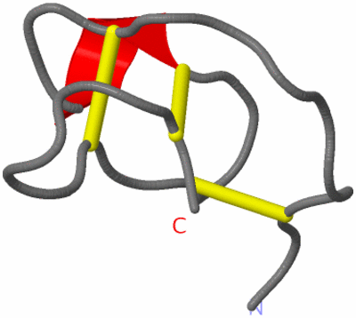 Image NMR Structure - model 1