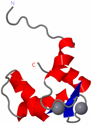 Image NMR Structure - model 1