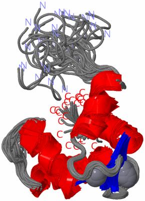 Image NMR Structure - all models