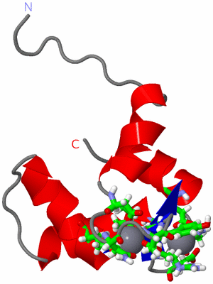 Image NMR Structure - model 1, sites