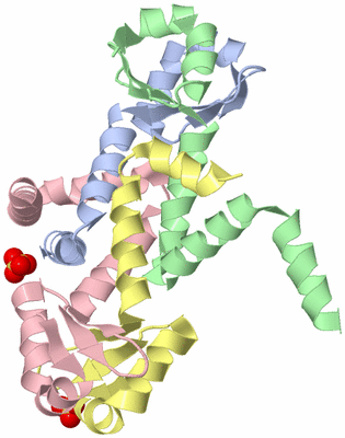 Image Biological Unit 1