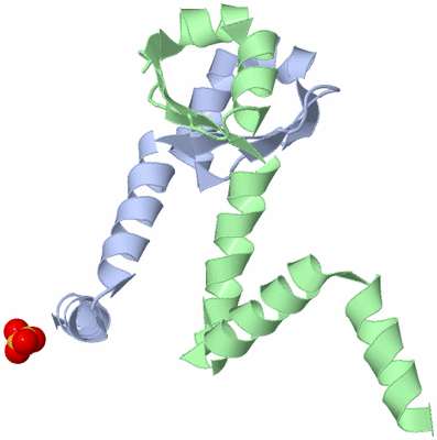 Image Biological Unit 10