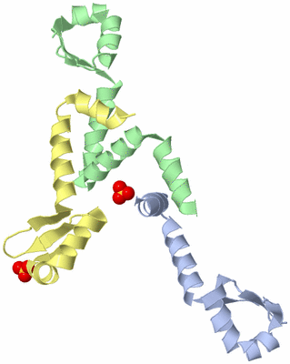 Image Biological Unit 13