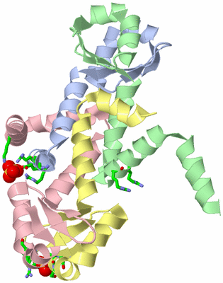 Image Biol. Unit 1 - sites