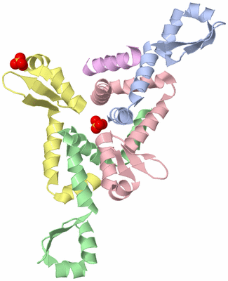 Image Biological Unit 3