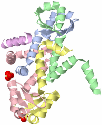 Image Biological Unit 4