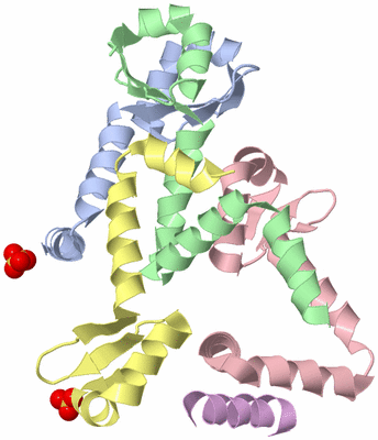 Image Biological Unit 5