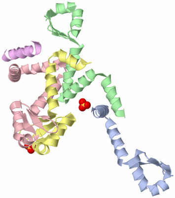 Image Biological Unit 6