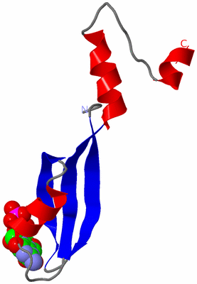 Image Asymmetric Unit