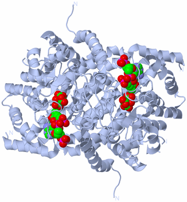 Image Biological Unit 1