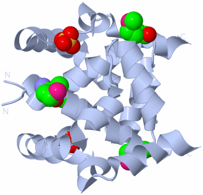 Image Biological Unit 1