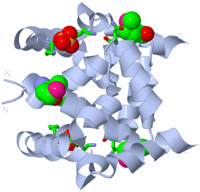 Image Biol. Unit 1 - sites