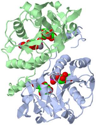 Image Asym./Biol. Unit