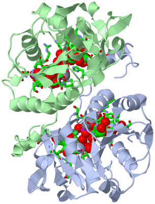 Image Asym./Biol. Unit - sites