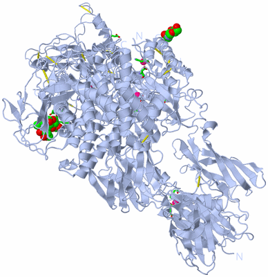 Image Biol. Unit 1 - sites