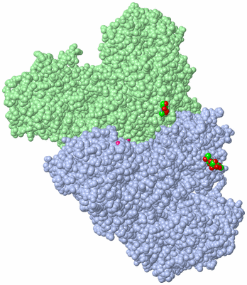 Image Biological Unit 3