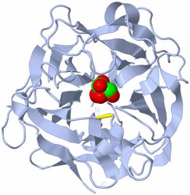 Image Biological Unit 1