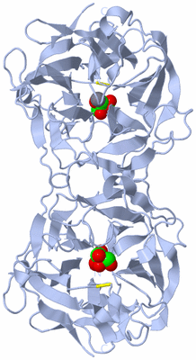 Image Biological Unit 2