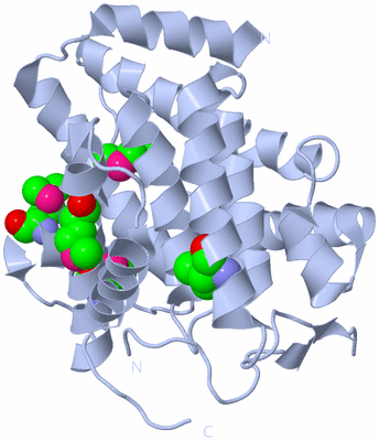 Image Biological Unit 1