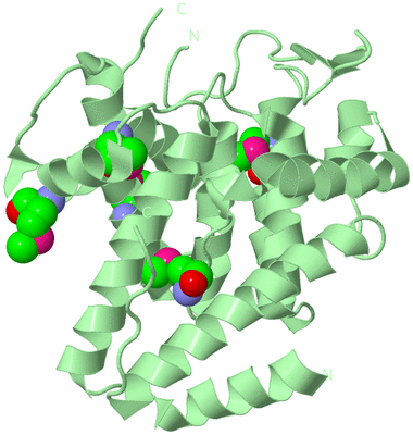 Image Biological Unit 2