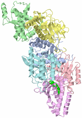 Image Biological Unit 1