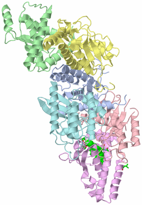 Image Biol. Unit 1 - sites