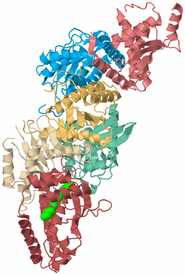 Image Biological Unit 2