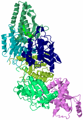 Image Biological Unit 3