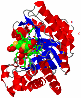 Image Asym./Biol. Unit - sites