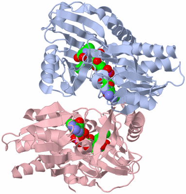 Image Biological Unit 1