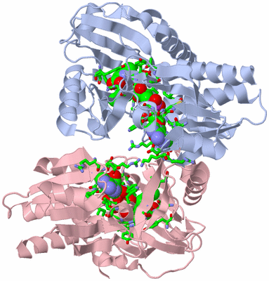 Image Biol. Unit 1 - sites