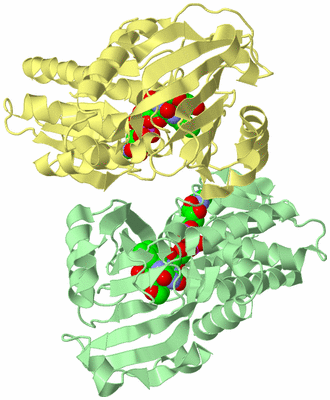 Image Biological Unit 2