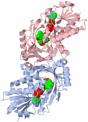 Image Biological Unit 3