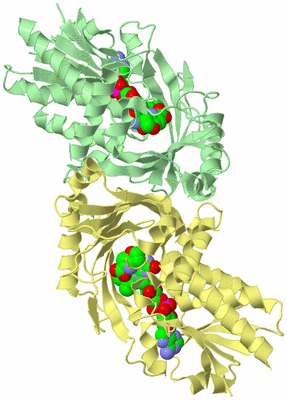 Image Biological Unit 4