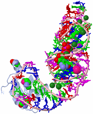 Image Biological Unit 1