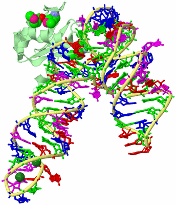 Image Biological Unit 2