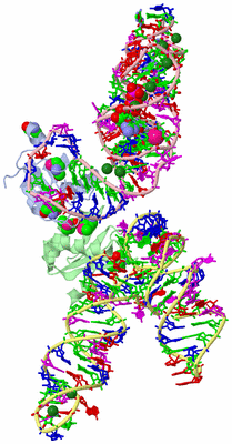 Image Asym. Unit - sites