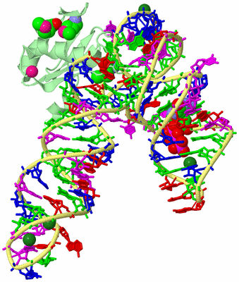 Image Biological Unit 2