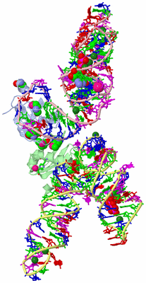 Image Asym. Unit - sites