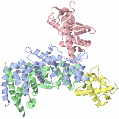 Image Asym./Biol. Unit