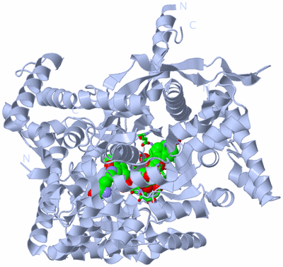 Image Biol. Unit 1 - sites