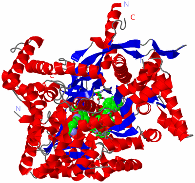 Image Asym. Unit - sites