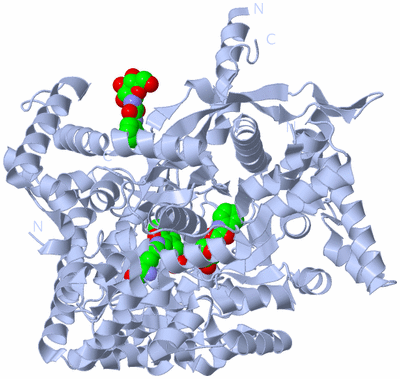 Image Biological Unit 1