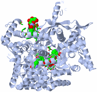 Image Biol. Unit 1 - sites