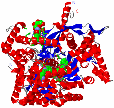 Image Asym. Unit - sites