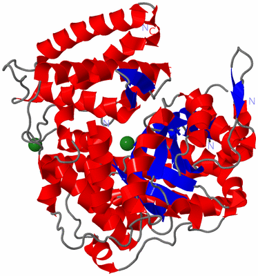 Image Asym./Biol. Unit