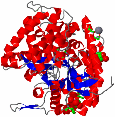 Image Asym./Biol. Unit - sites