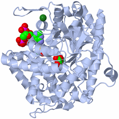 Image Biological Unit 1