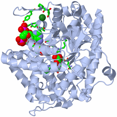 Image Biol. Unit 1 - sites